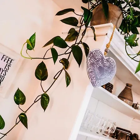 Hacienda Szálloda 3*